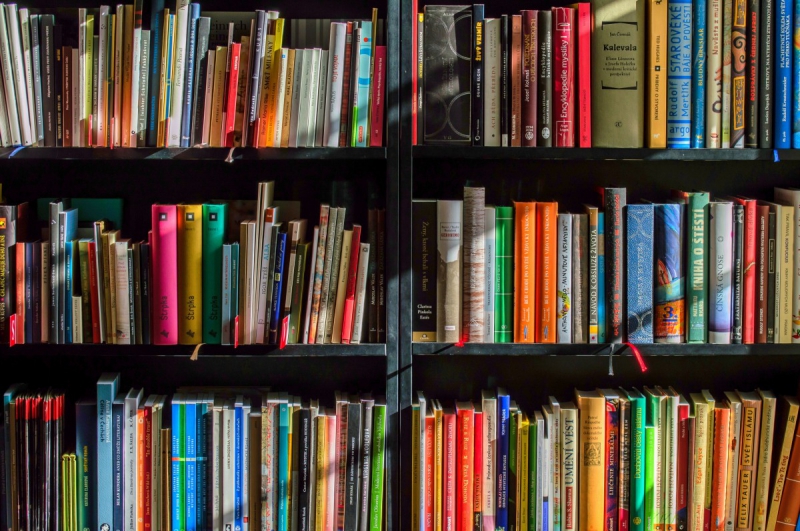 vente-VALDEROURE-min_books_bookstore_book_reading_shop_writer_sale_books_read-822866